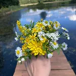 Farma Lesna 度假居