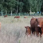 Farma Lesna 度假居 Grabie Polskie