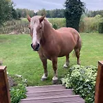 Farma Lesna * Grabie Polskie