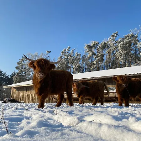 Farma Lesna Grabie Polskie